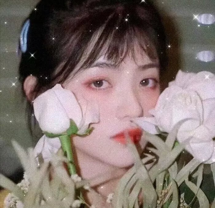 富有同情心的间谍